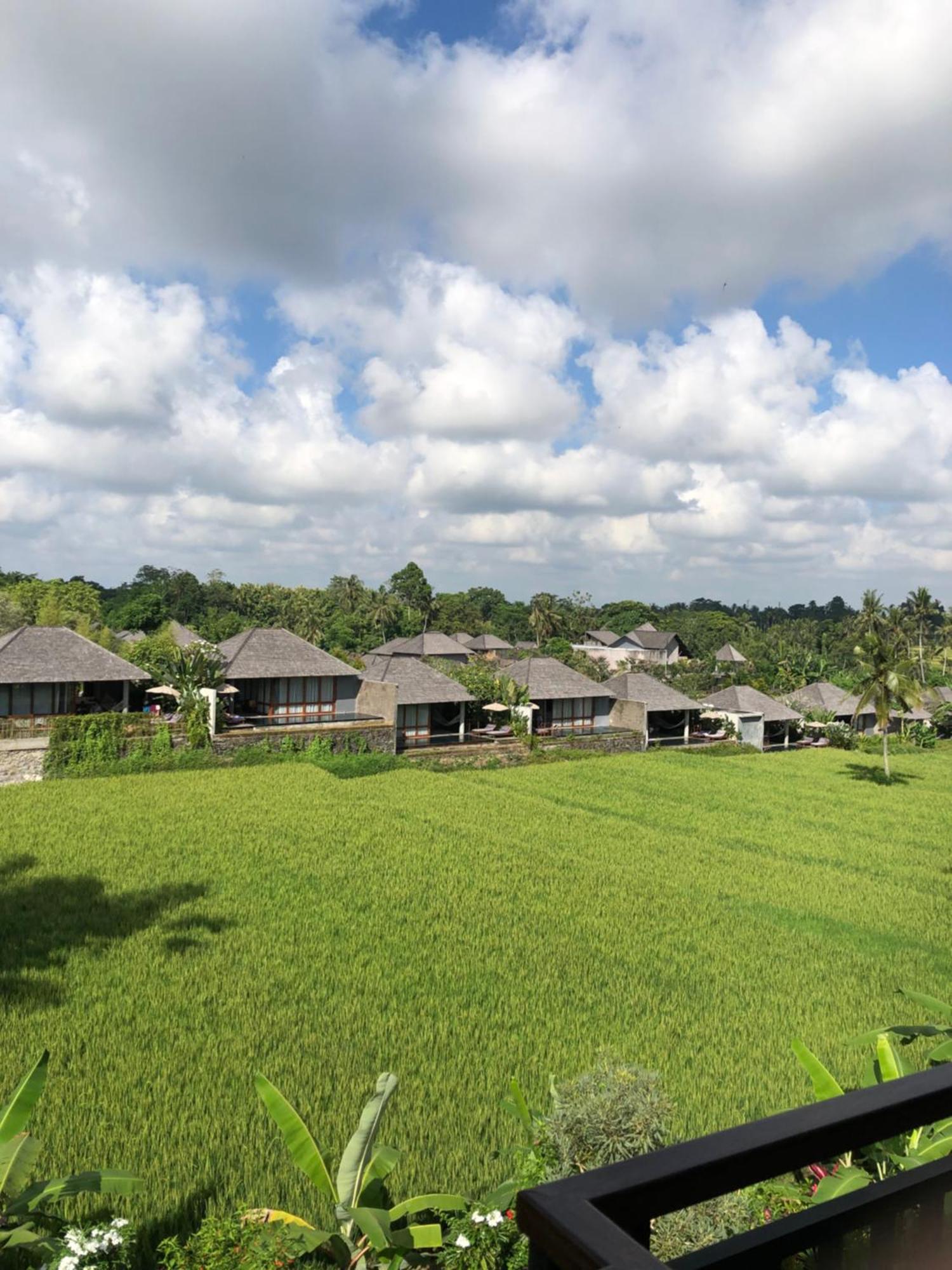 Mira Family Cottages Убуд Экстерьер фото
